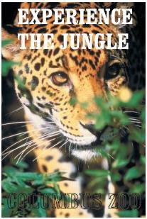 Jungle